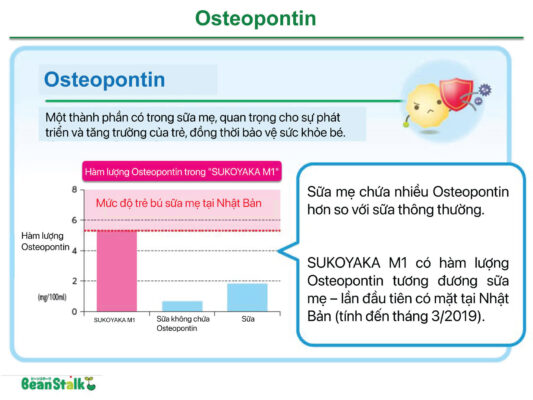 bean stalk chua osteopontin