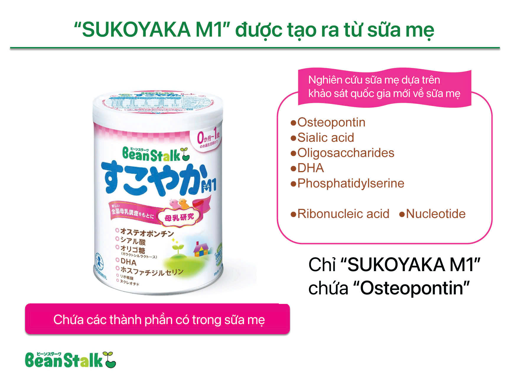 beanstalk chua osteopontin hsc