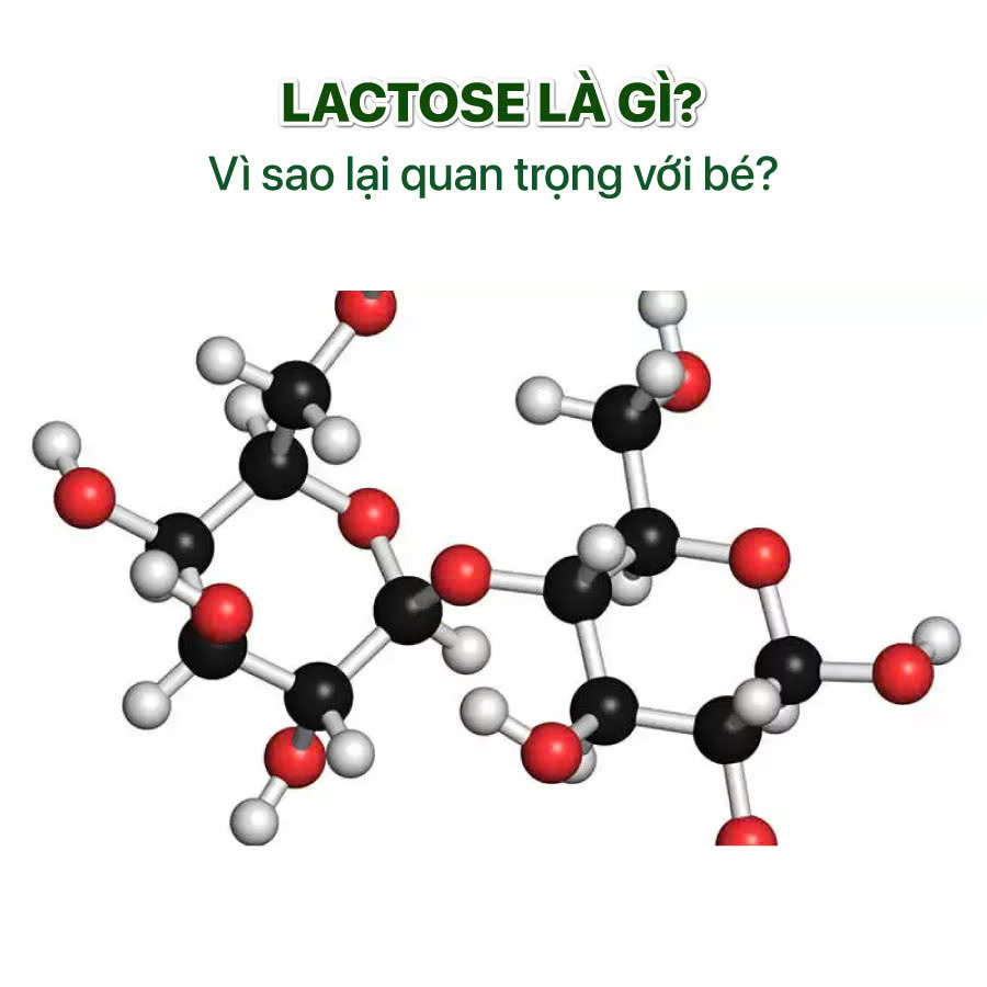 bat dung nap lactose la gi
