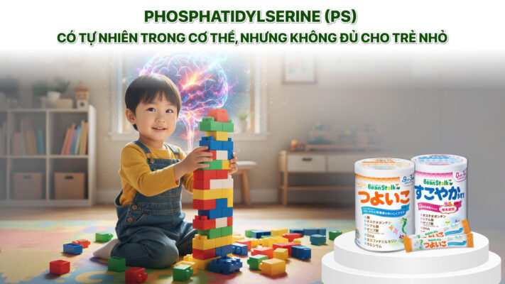 beanstalk bo sung phosphatidylserine ps