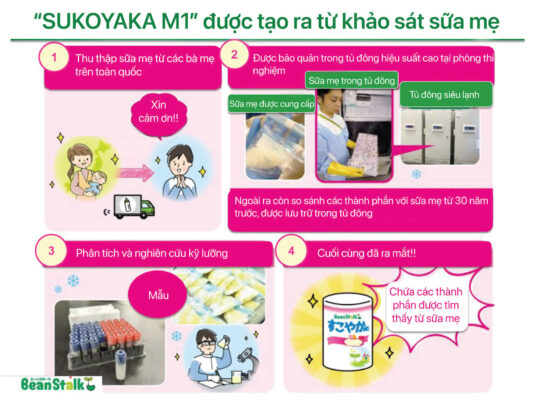 beanstalk chua osteopontin