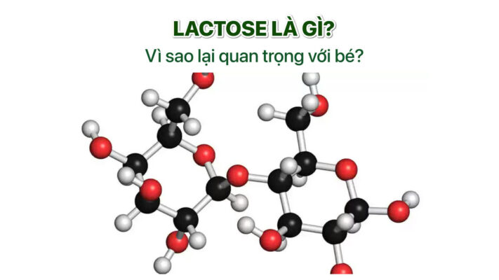 lactose la gi so voi be