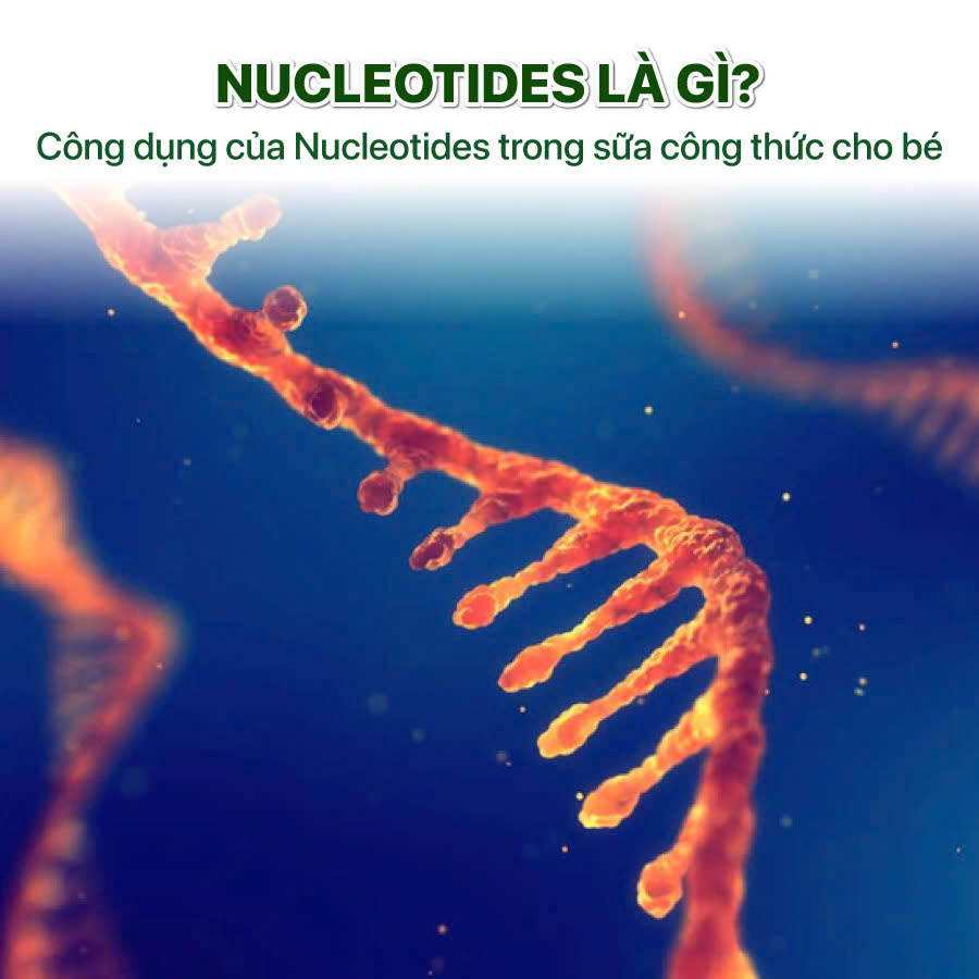nucleotides la gi