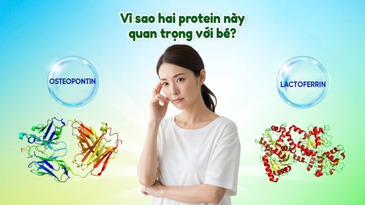osteopontin beanstalk hsc sua nhat 02