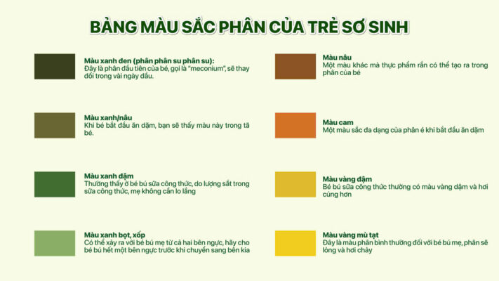 bang mau sac phan cua tre
