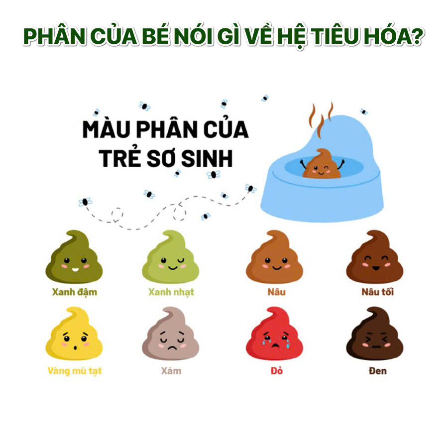 phan cua be noi gi ve he tieu hoa