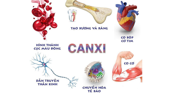 tac dung cua vitamin d va canxi 02