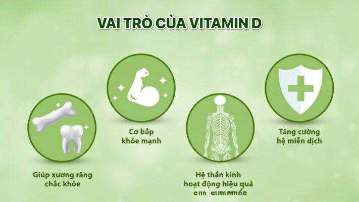 tac dung cua vitamin d va canxi 03