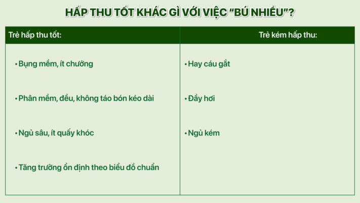 dinh duong de hap thu la gi 02