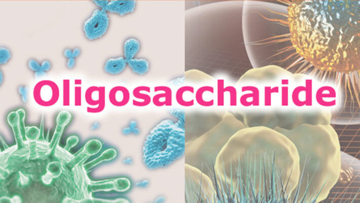 oligosaccharide co vai tro gi voi he tieu hoa cua tre