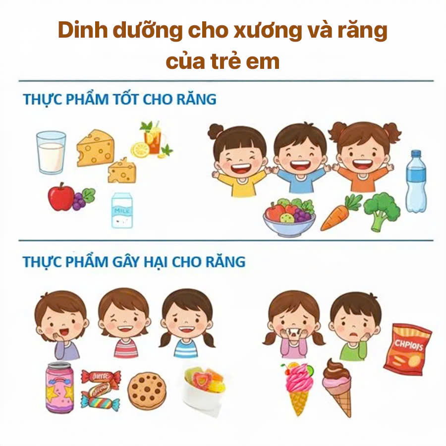 Dinh dưỡng cho xương và răng của trẻ em