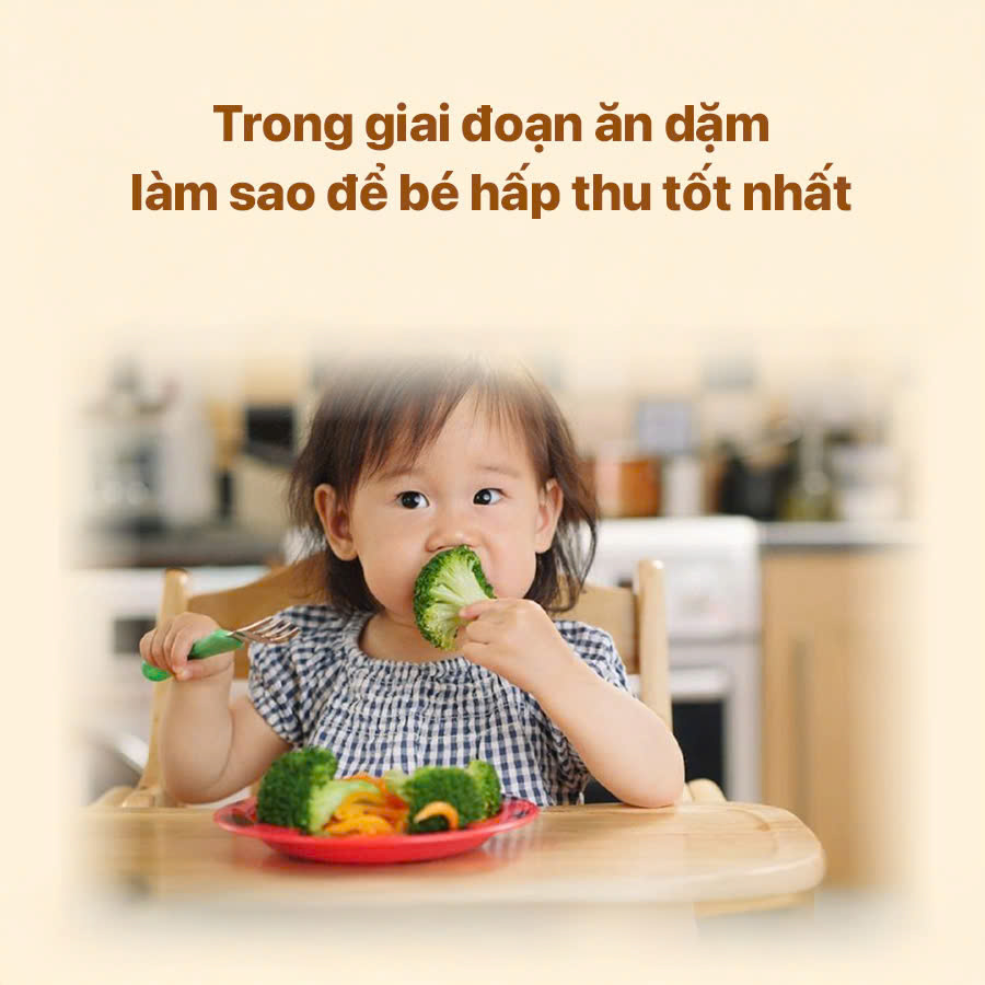 Trong giai đoạn ăn dặm làm sao để bé hấp thu tốt nhất
